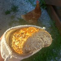 multi-grain bread 5€ at treego - Padaria Artesanal Sourdough in Lisbon