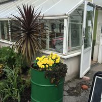 The restaurant is located in a greenhouse   at Stadsträdgårdens Café & Restaurang in Oerebro