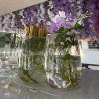   at Oasis Sempach in Sempach