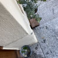   at Oasis Sempach in Sempach