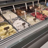 Vegan selection at Gelatoville - 9th Ave in New York City