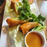 Edamame Spring Rolls (order ALL of these!) at CO in Charleston