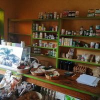 Tienda 2 at El Milenio in Tepoztlan