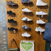 Trainers  at avesu in Berlin