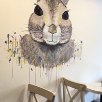 Wallpaperr  at the VEGERY in Ankara