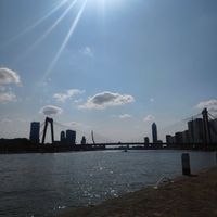 Los van het eten is het ook gewoon leuk om door Rotterdam te lopen at Vegan Food Tour Rotterdam in Rotterdam