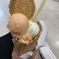 Melone e fichi caramellati. Also the biscuits are vegan  at Gelateria Fior di Loto in Bovisio-masciago