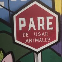  at Shottas Medellin Vegan Food in Medellin