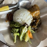 Rice with vegetarian rendang, stir fried brocolli, caipo (sauerkraut).  at Chang YUAN Vegetarian in Jakarta