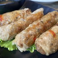 Vegan spring rolls at Moonlight Cafe in Seattle