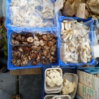 Shiitake and more... at Gartneriet Rødmose in Vejle