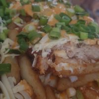 Vegan schnitzel loaded fries at Cafe La Wheels in Seaford