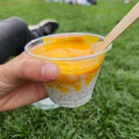 Mango pearle pudding at SOA Champs-de-Mars in Paris