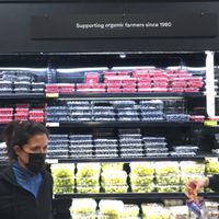 Organic fruit. at Whole Foods Market - E 57th in New York City