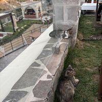 Outdoor   at Moniq Restaurant & Cocktail Bar in Nevsehir