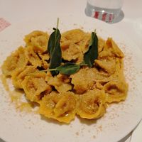 Tortellinit at 26KG in Barcelona