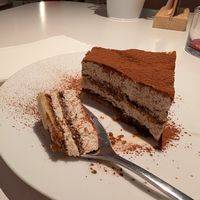 Tiramisu ✨ at 26KG in Barcelona