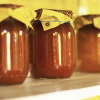 Tomatoes from the own production  at Agriturismo Ristorante Il Melograno di Banditella in Grosseto