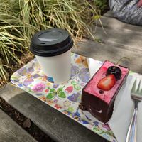 Feiner Kuchen und doppelter Espresso at Lente - Vegan Patisserie in Gouda