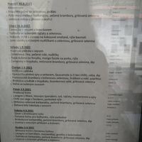 Menu for the week at Lucky's Vege Bistro in Trebic