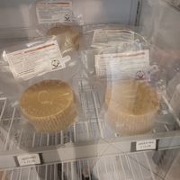  at  La bottega di Silvia in Bologna