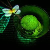 Green tea and coconut gelato at En Tea House in Tokyo