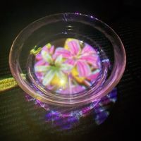   at En Tea House in Tokyo