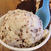 Vegan chocolate chip ice cream with vegan/gf brownie at The Baked Bear in South Padre Island