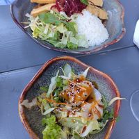Delicious dumplings as a starter at Bödhi in Leipzig