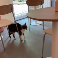  at 44QM - Ottensen in Hamburg