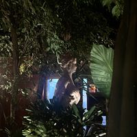   at OCHO30 - Cholula in San Andres Cholula