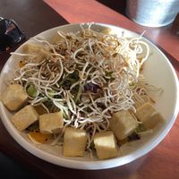 Asian salad bowl with tofu  at Caledonian Hotel  in North Adelaide