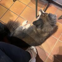   at Queen Beans in Uppsala