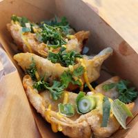  at terra food truck in Zeebrugge