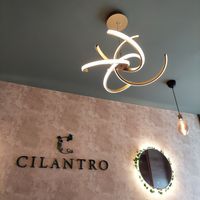 Inside at Cilantro in Edinburgh