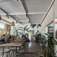 Even the aesthetic is soothing!   at Antigua Coffee & Bakery in San Jose Del Cabo