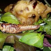 Salat mit Grillen at Mongo's in Duisburg