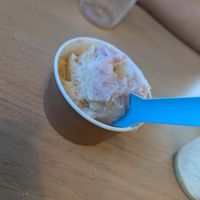 More gelato at Everdale Cafe & Gelato in Springvale