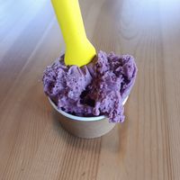 ube ice cream!!! among my favourites at Everdale Cafe & Gelato in Springvale