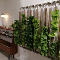 veggies at Vege Creek 蔬河 - Yanji St in Taipei