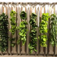 Veggies are waiting to pick up at Vege Creek 蔬河 - Yanji St in Taipei