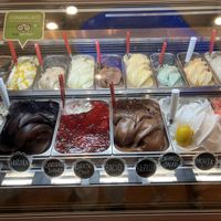 White spoons indicate vegan flavors   at Gelateria Valentino in Rome