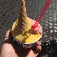 Cones are vegan! All fruit gelato is vegan at Gelateria Valentino in Rome