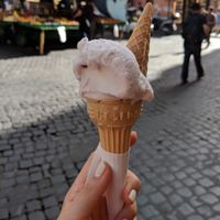 Berry flavoured soya ice-cream at Gelateria Valentino in Rome