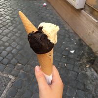 chocolate and fig flavoured gelato! at Gelateria Valentino in Rome