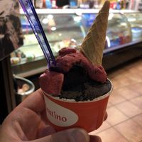 Dark chocolate & fruits of the basket  at Gelateria Valentino in Rome