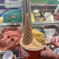 So tasty! at Gelateria Valentino in Rome