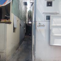 The restaurant is located in this alley at The Seeds Plant-Based Foods & Desserts in Hoi An