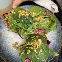   at Oh Darling in Marburg