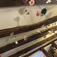  #Veganuary at Oh Darling in Marburg